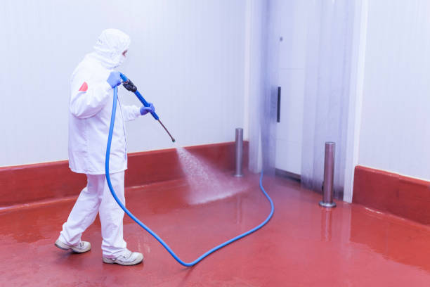 Reliable Pahrump, NV Pressure Washing Services Solutions